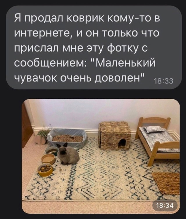 Так себе картинки 24.11.23