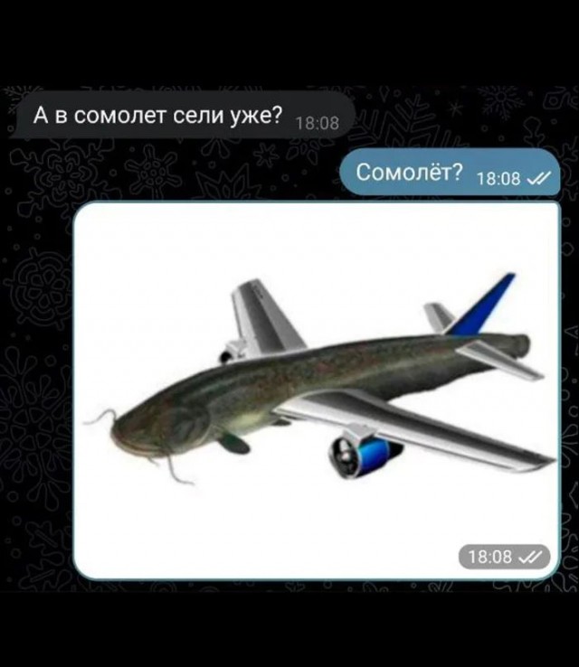 Приколы с налетом деградации