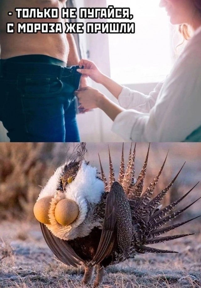 Пятничное