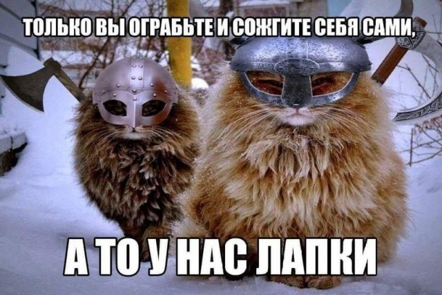 Нуштош 22.02.2024