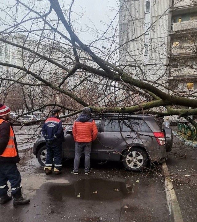 Жителям Москвы порекомендовали меньше находиться на улице – МЧС выпустило экстренное предупреждение об усилении ветра до 21 м/с