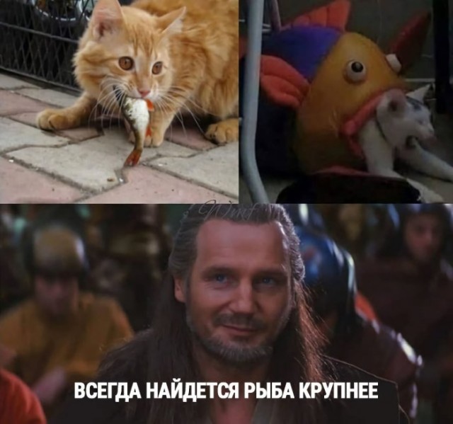 Завалялось тут случайно немного забавных картинок