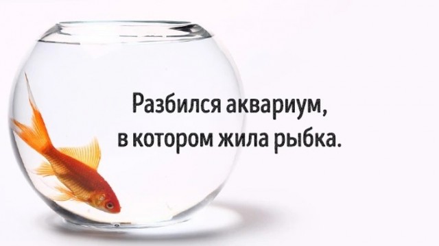 Так себе картинки 26.07.24