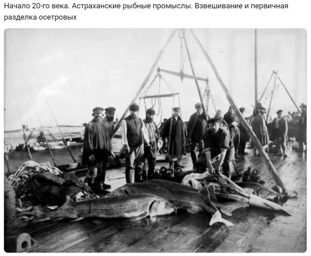 Back in USSR (12.08)