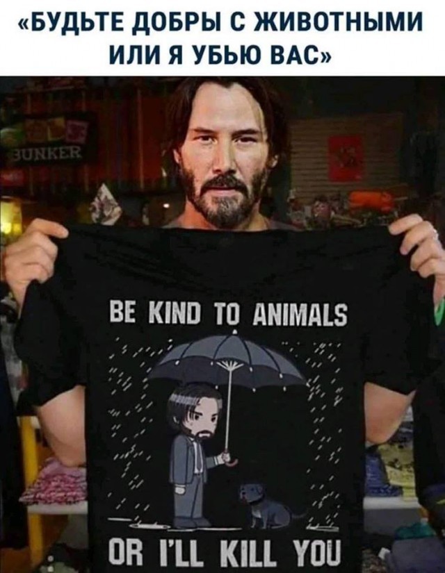 Картинки юморные и тексты