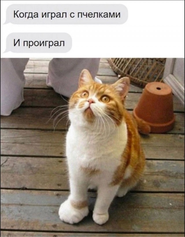 Завалялось тут случайно немного забавных картинок
