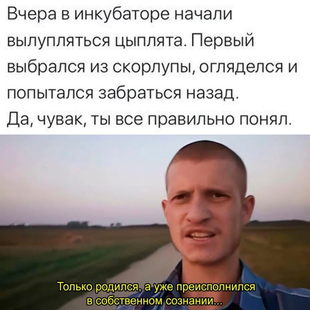 Весёлый полтишок 19.09.24