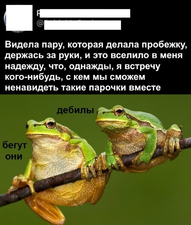 Так себе картинки 07.09.25