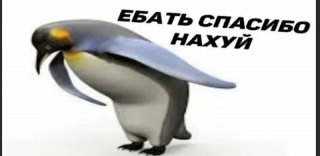 Прокуратура Московской области опубликовала список прокси для обхода блокировок Telegram