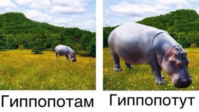 Сударыня Тударыня