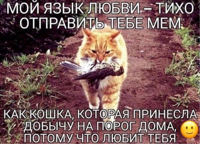 Веселое настроение в картинках 01.08.26