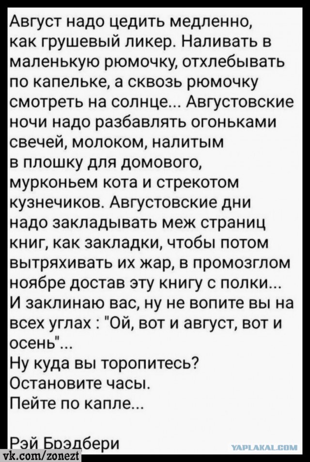 Веселое настроение в картинках 16.08.26