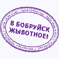 Чемпионат мира по женскому фитнесу