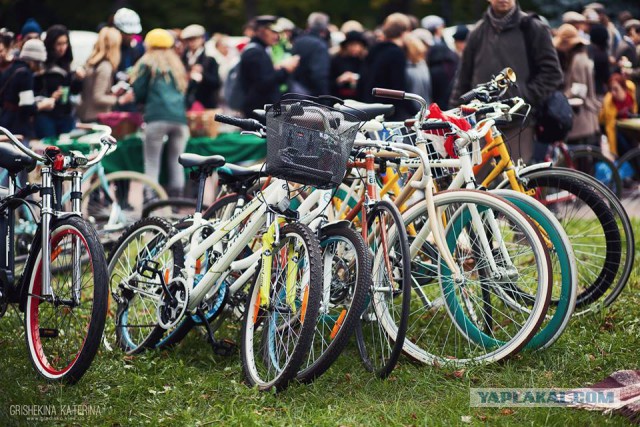 Киевский «Tweed Run» 2013