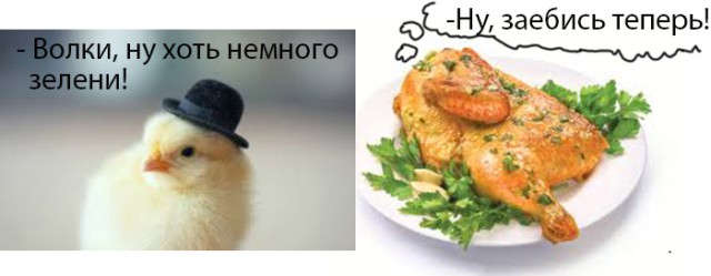 Приключения цыплёнка на ЯПе.