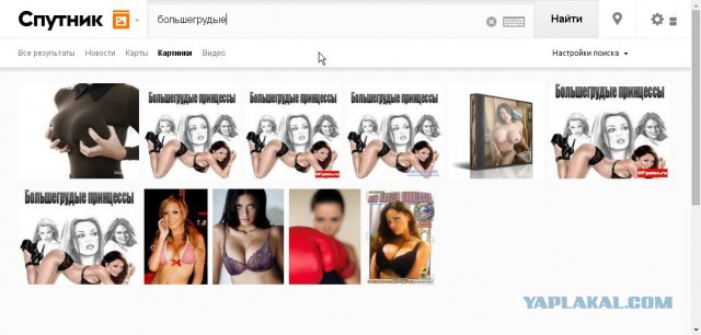 Поисковик Спутник запущен.