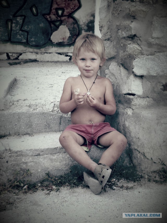 15 любительских фотографий