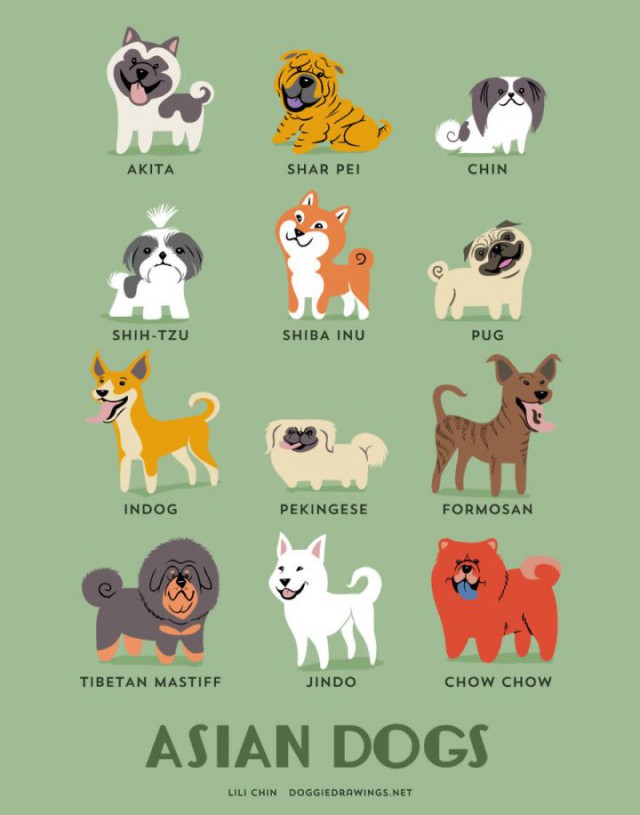 Какой национальности ваш собакен?