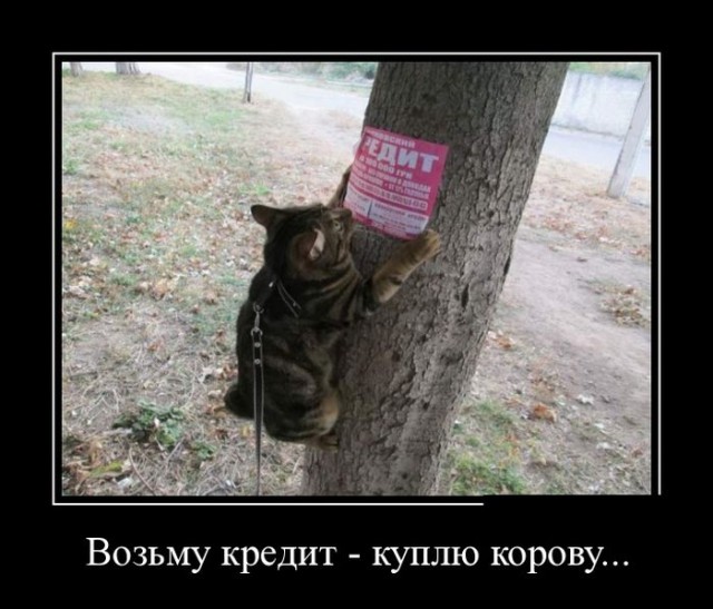 Cмешные баяны