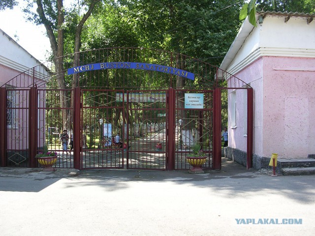 ЧИРЧИК