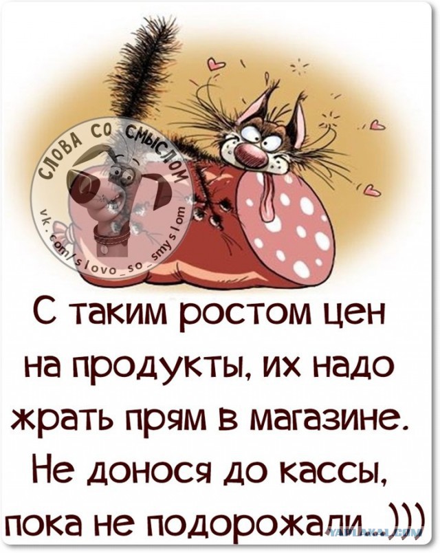 Веселые жизненные наблюдения из Вредного журнала