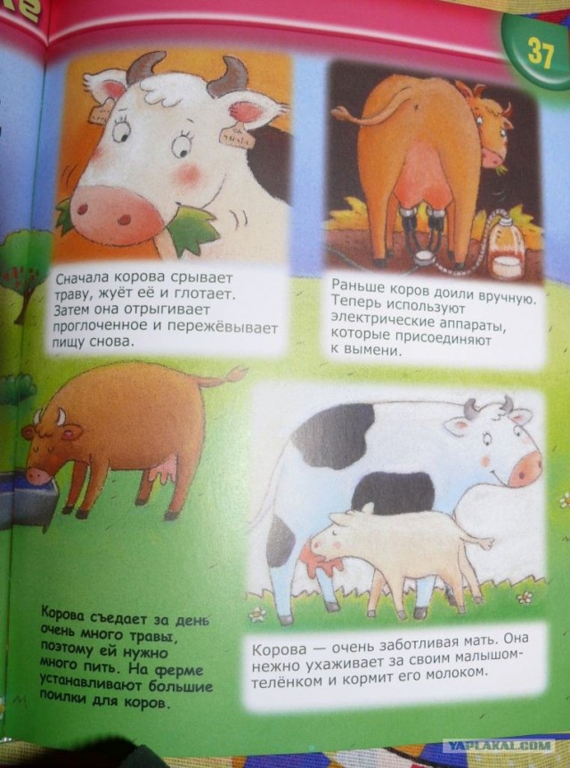 Энциклопедия для самых маленьких.