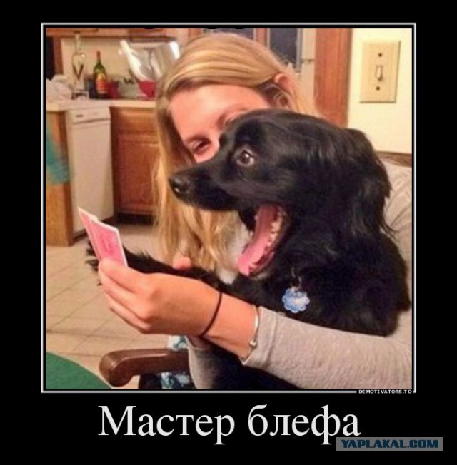 Подборка картинок из соцсетей