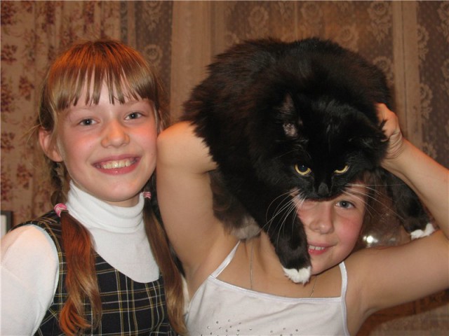 Дети и коты