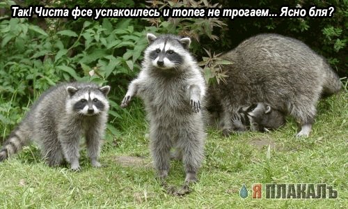 Разборки