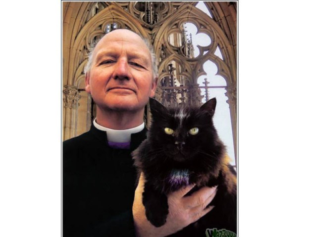 Мой кот, мои правила!