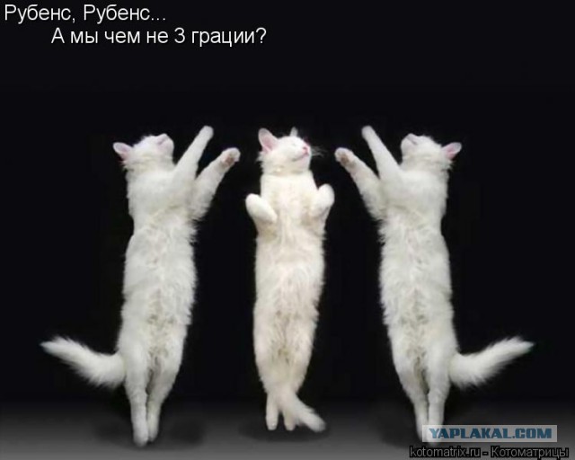 Три грации