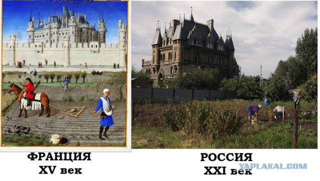 Задержаны подозреваемые в расправе над семьей полицейского Гошта