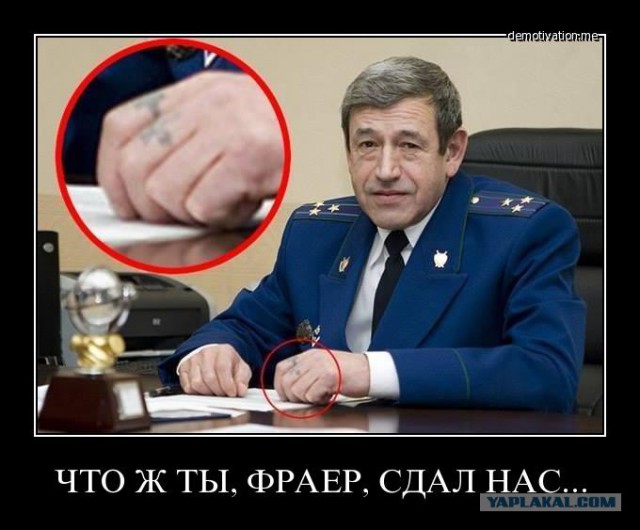 Так и живём! Картинки с надписями для позитивного настроя. Бодрого вам дня!