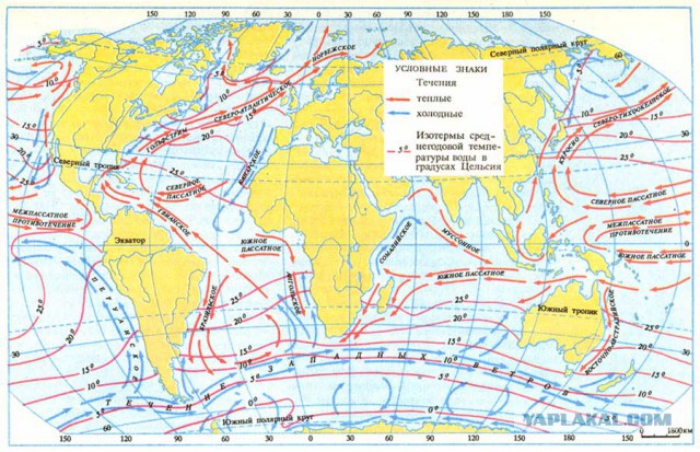 Фукусима отравила весь Тихий океан но вокруг катастрофы царит странный заговор молчания