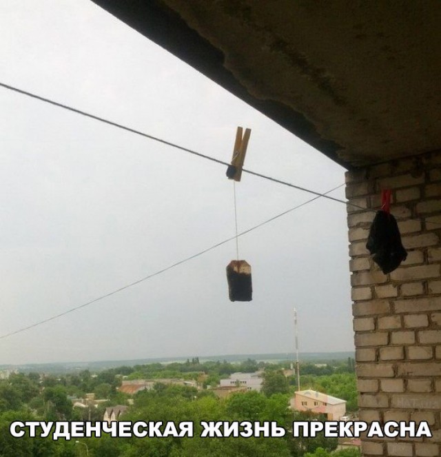 Адский трэш и вакханалия! Строго 16+
