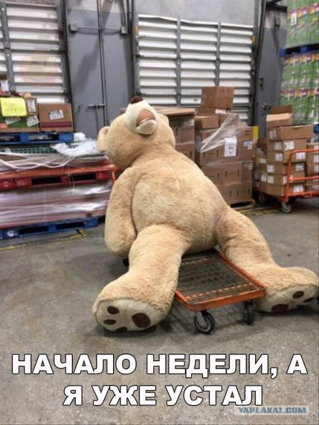Субботний картиночный винегрет