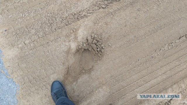 Немцы  асфальтируют каналы