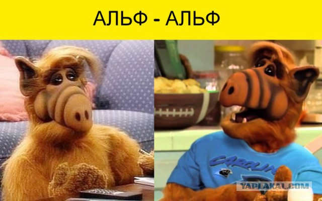 30 актеров любимых комедий детства тогда и сейчас