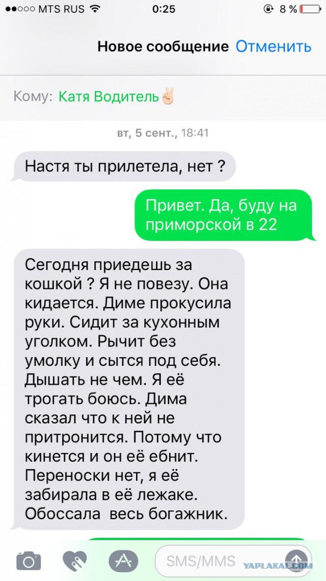 Живодеры в течение двух недель издевались над кошкой