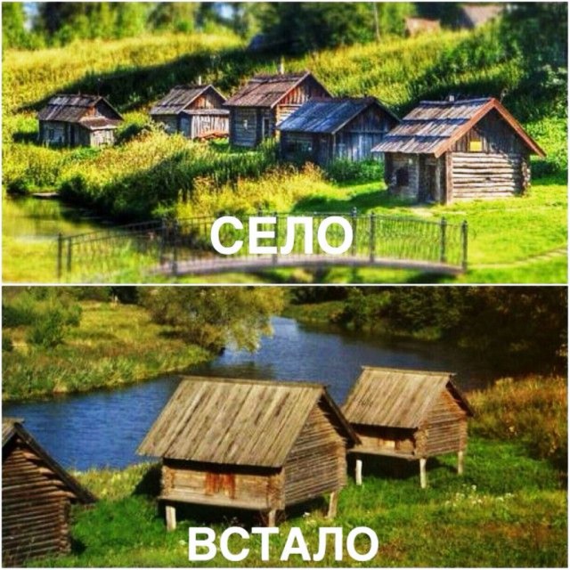 Подборка интересных и веселых картинок