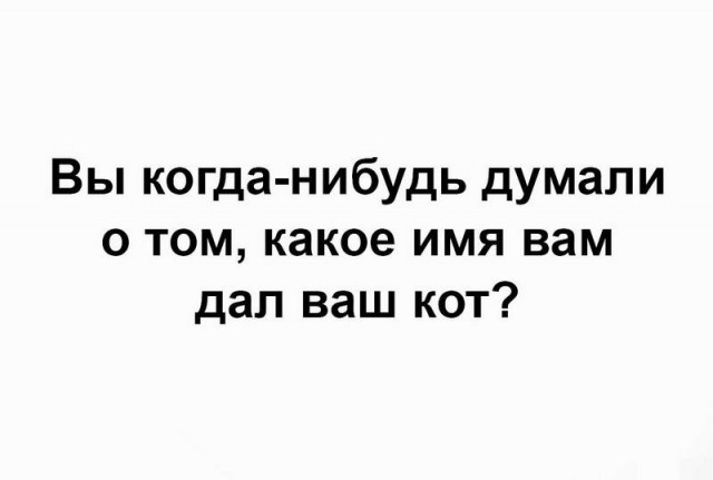 Предпятничная подготовка к трешу и вакханалии