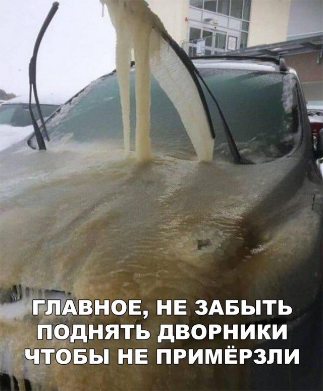Прикольные картинки абавсём