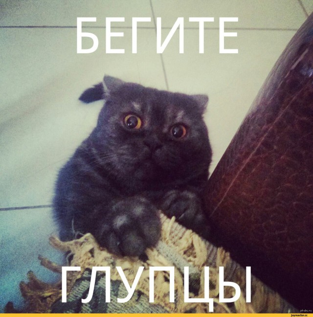 Мощная буря прошлась в Риме в центре города