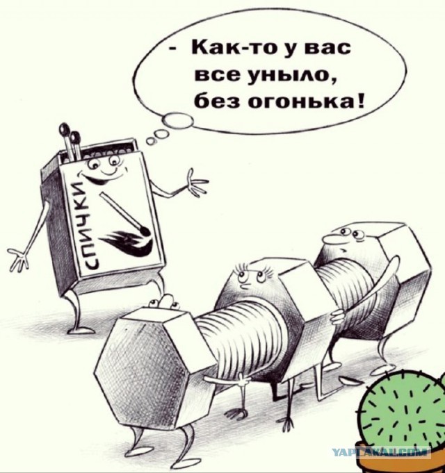 Немного странного юмора на вечер