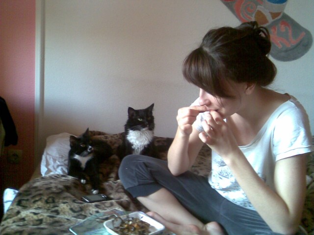 Котовторник (07.02.2012)