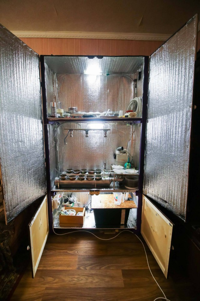 В Перми супруги выращивали наркотики в кухонных шкафах