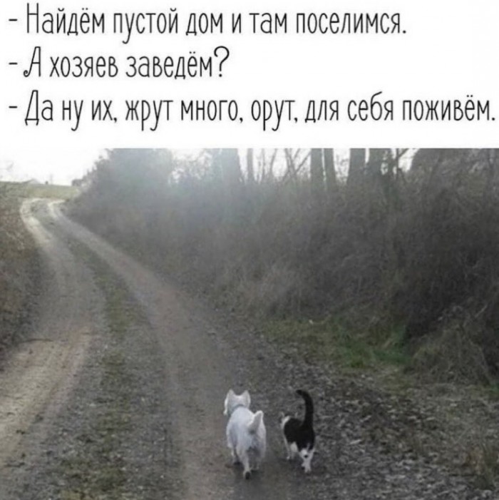 Картинки с надписями и анекдоты