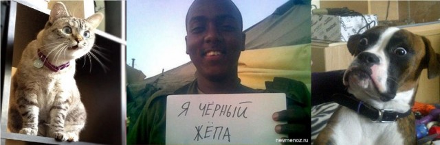 Юмор в картинках 17.11.20