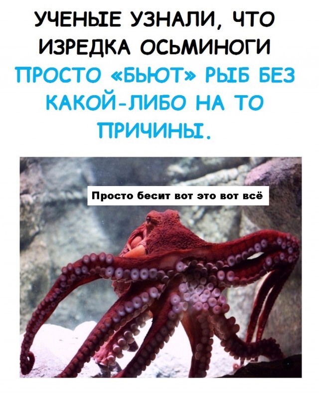 Юмор и прикольные картинки 11.10.2021