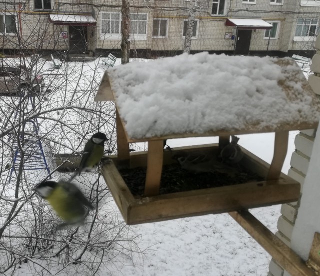 Кормушка